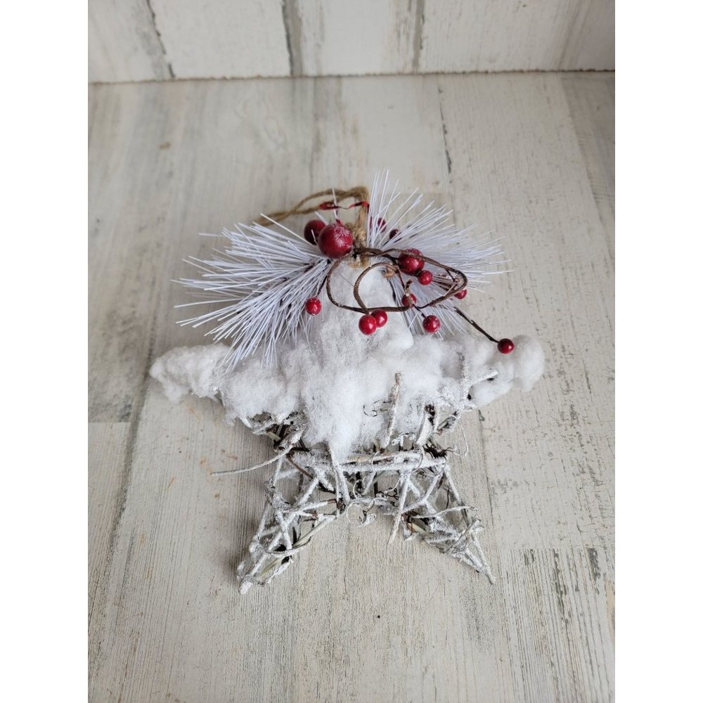Snow frosted glitter cranberry star‎ large ornament Xmas